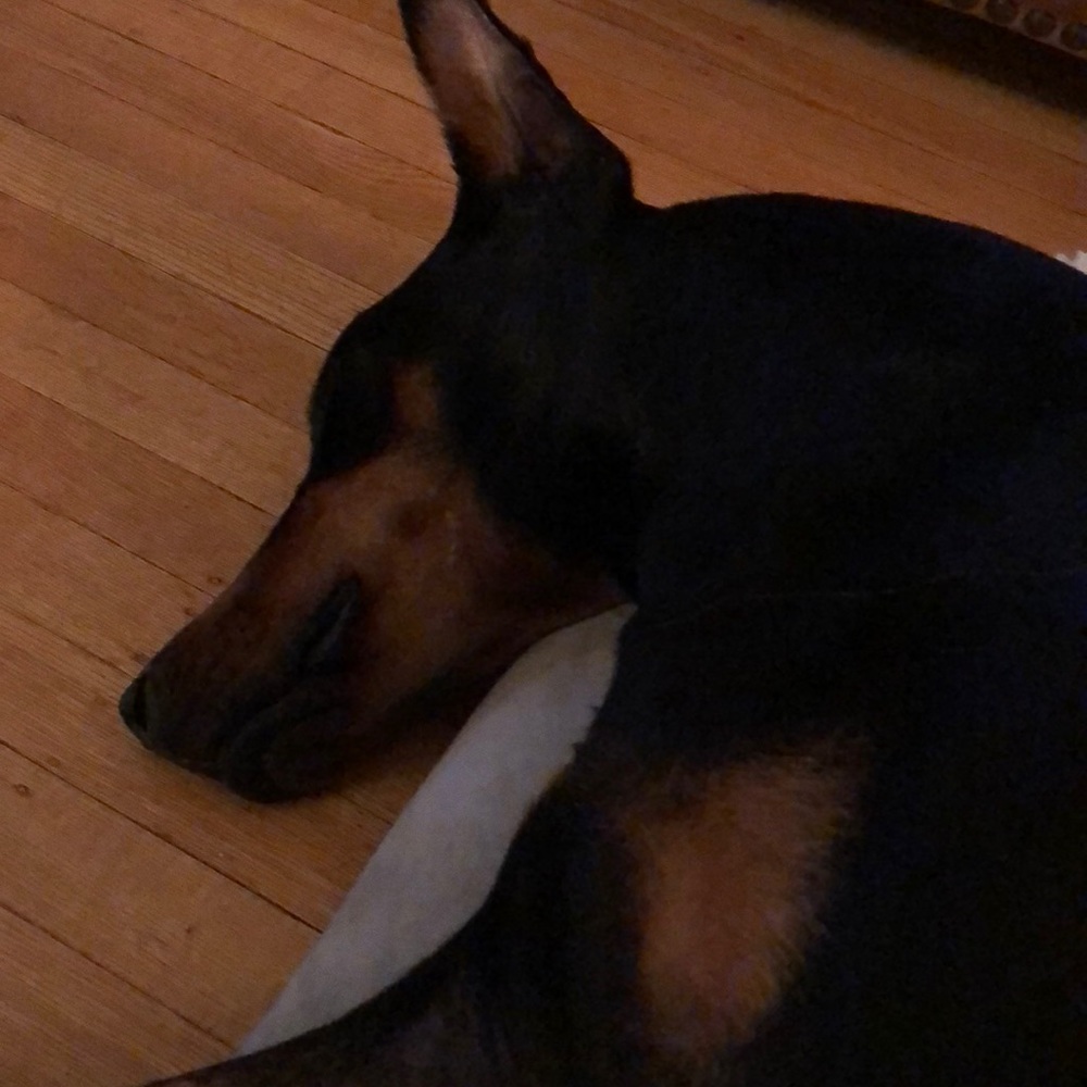 Meet your Posher, Matt